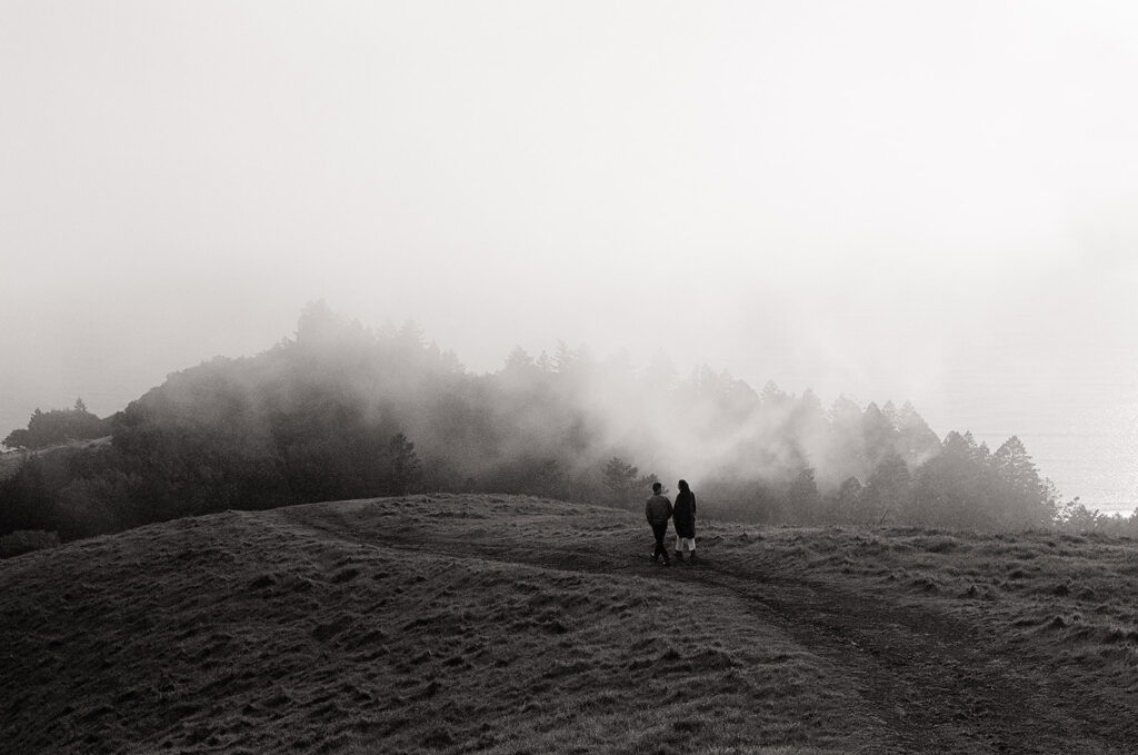 Mt. Tamalpais engagement photos