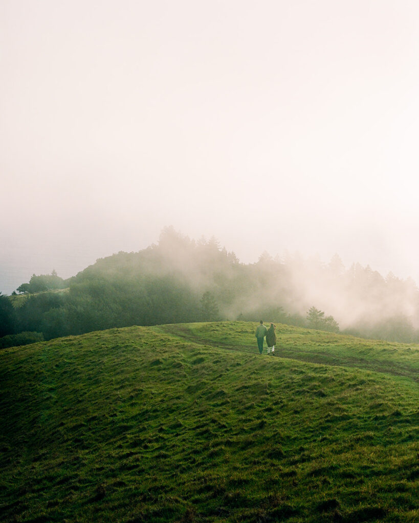 Mt. Tamalpais engagement photos