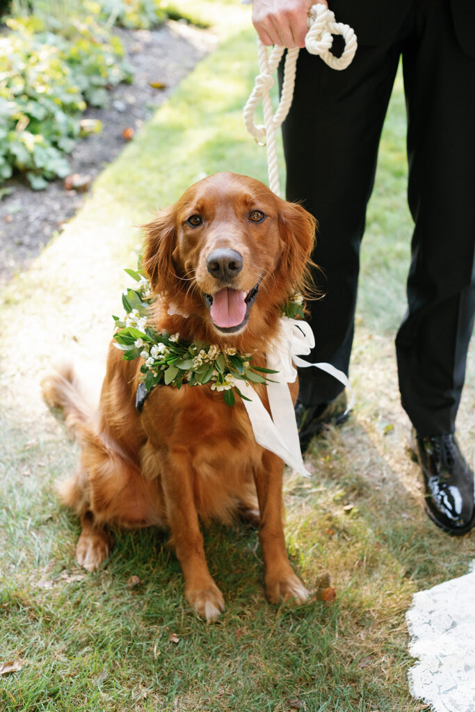 Castle Hill Inn Wedding in Newport, RI | Abby & Leander