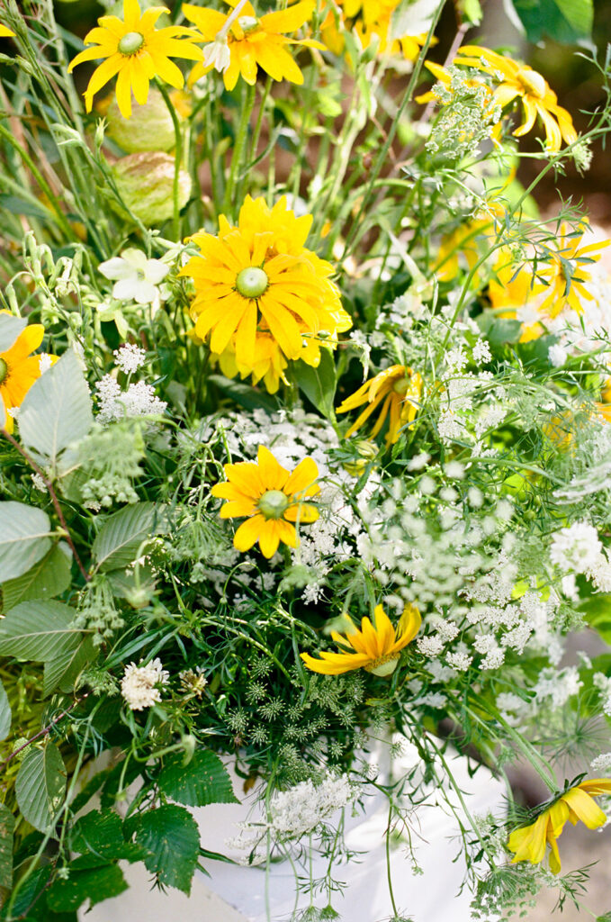 backyard wedding outside Boston
